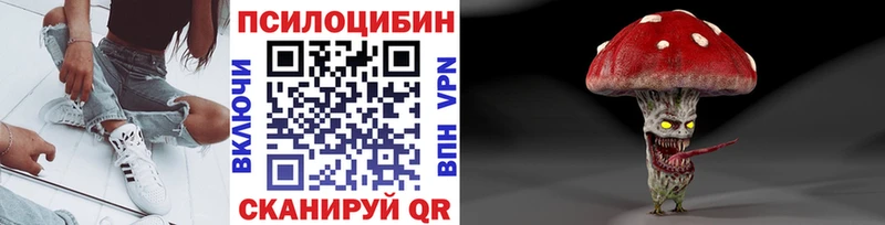 Псилоцибиновые грибы Psilocybe  Калининград 